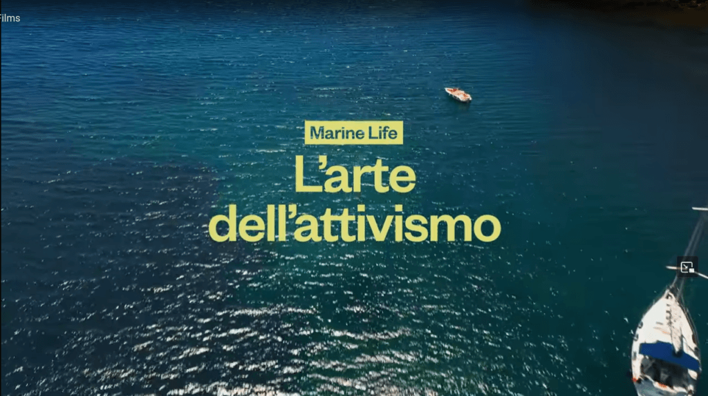  'L’arte dell’attivismo’ - Art of Activism