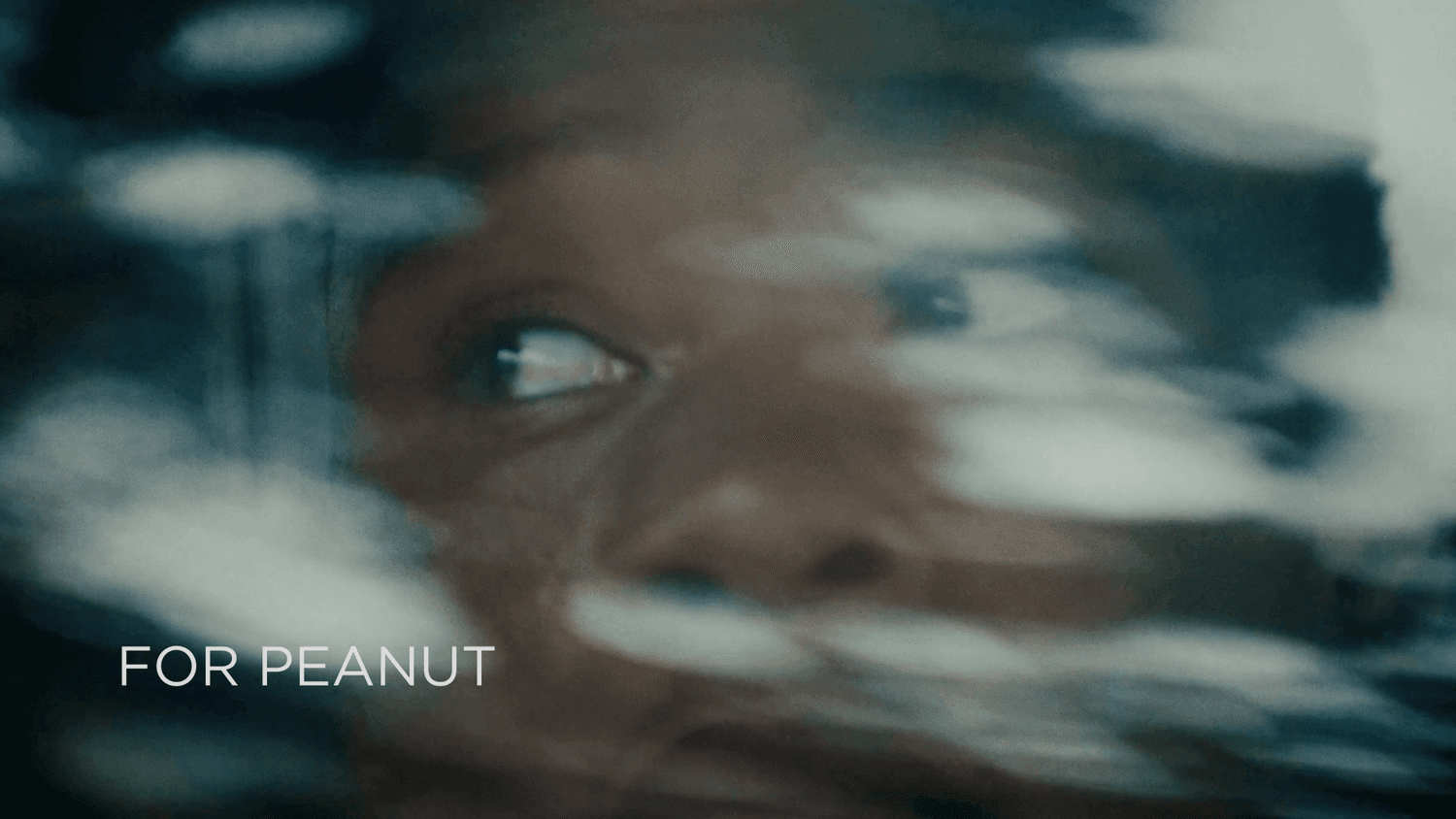 Poster image for the film For Peanut