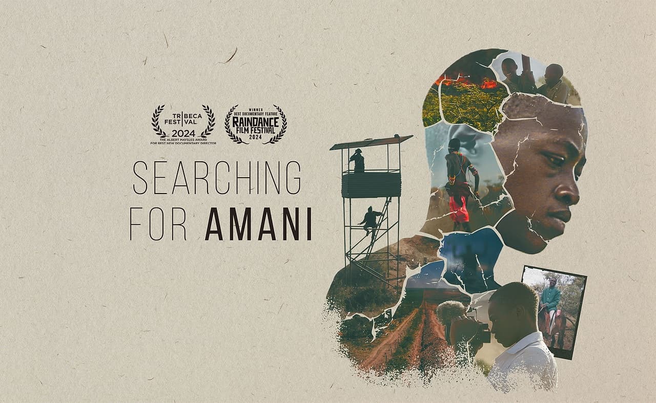 Searching for Amani